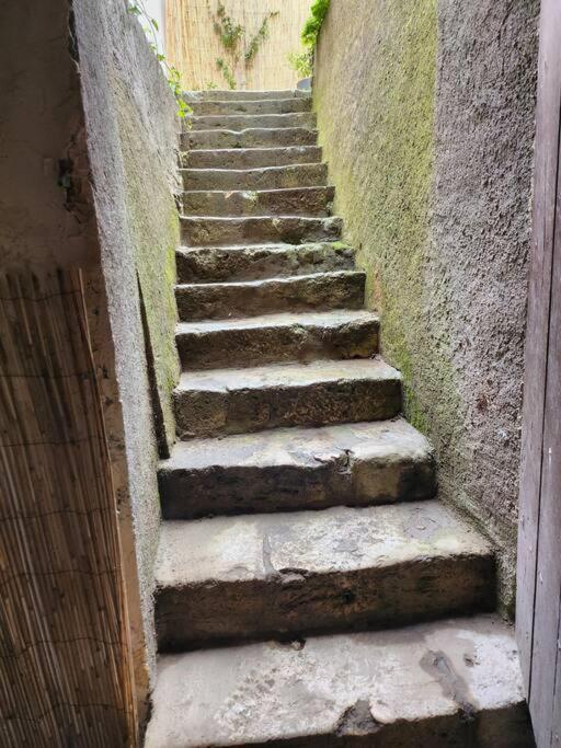 La Maisonnette Des Hautes Granges Blois Exterior foto